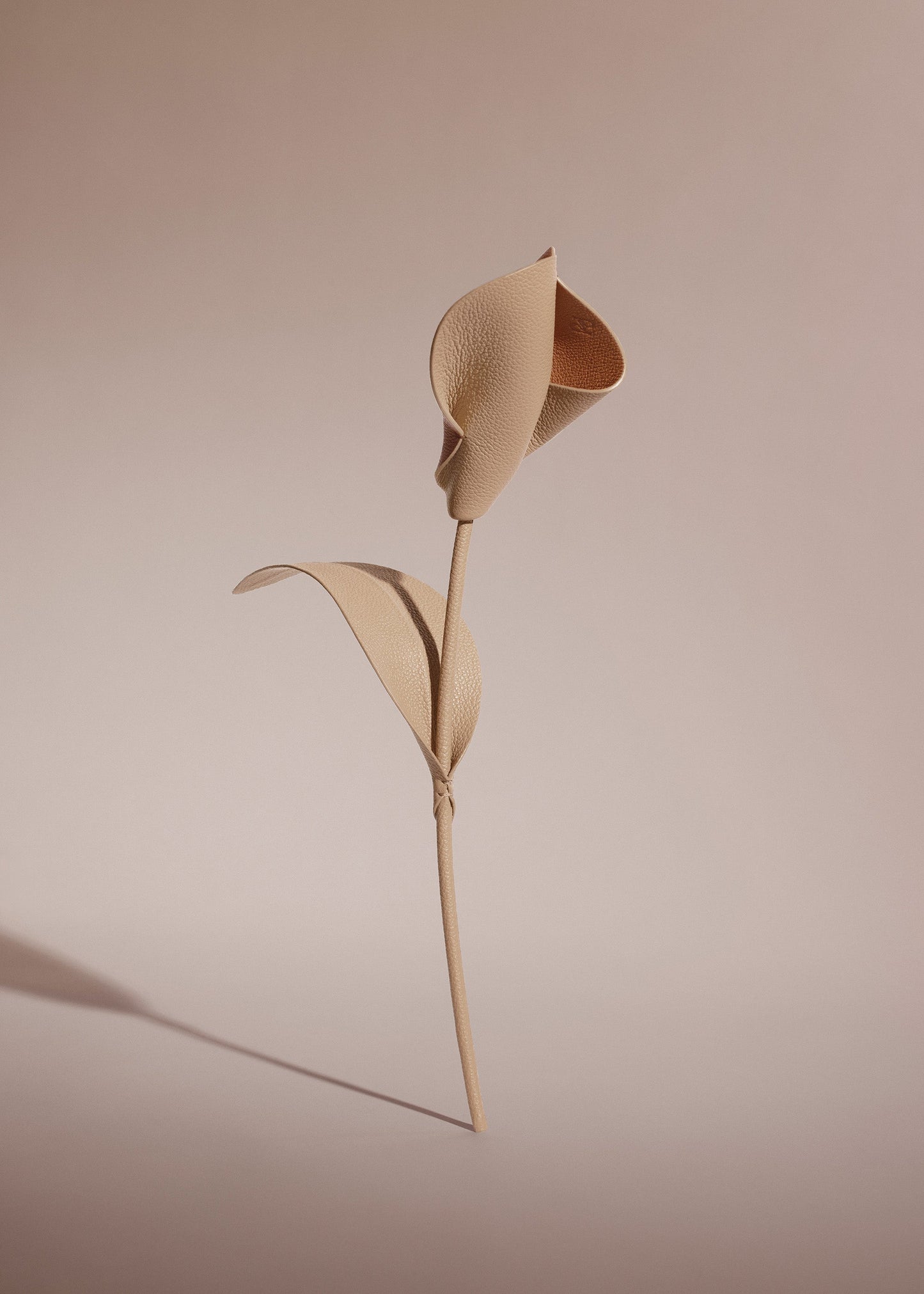 Pili Flower - Duo Beige