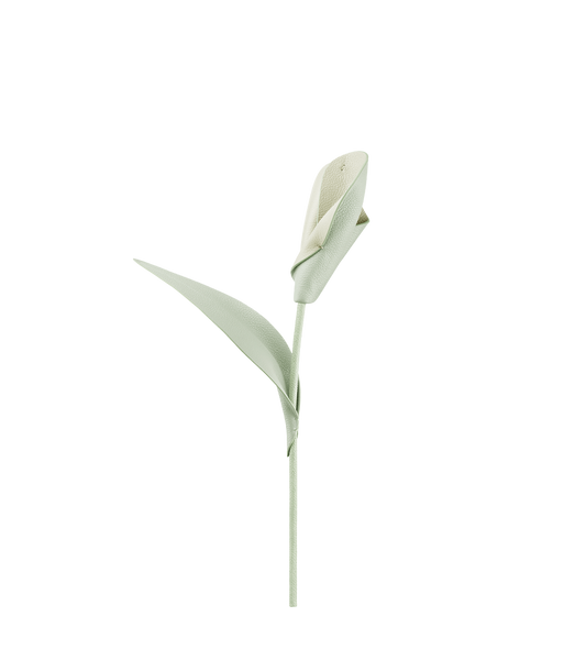 Pili Flower - Duo Fresh Almond