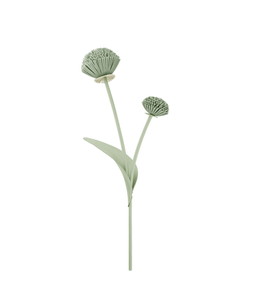 Tul Flower - Duo Fresh Almond