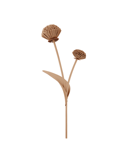Tul Flower - Duo Beige
